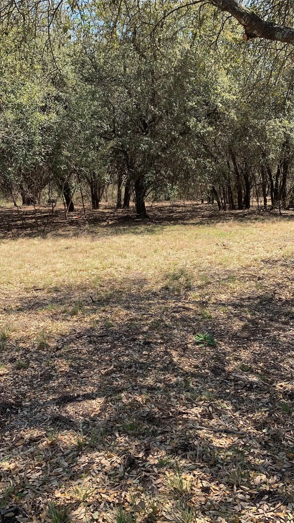 Private Road 190 Blum, TX 76627
