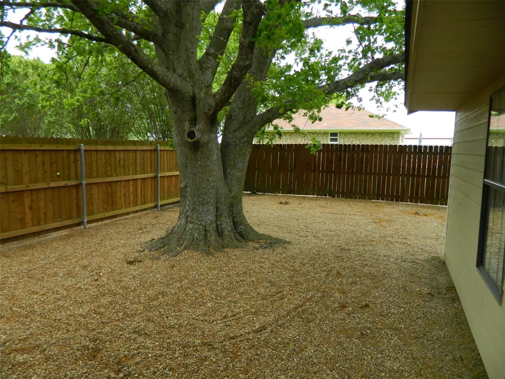 1004 Palamino Drive Leonard, TX 75452