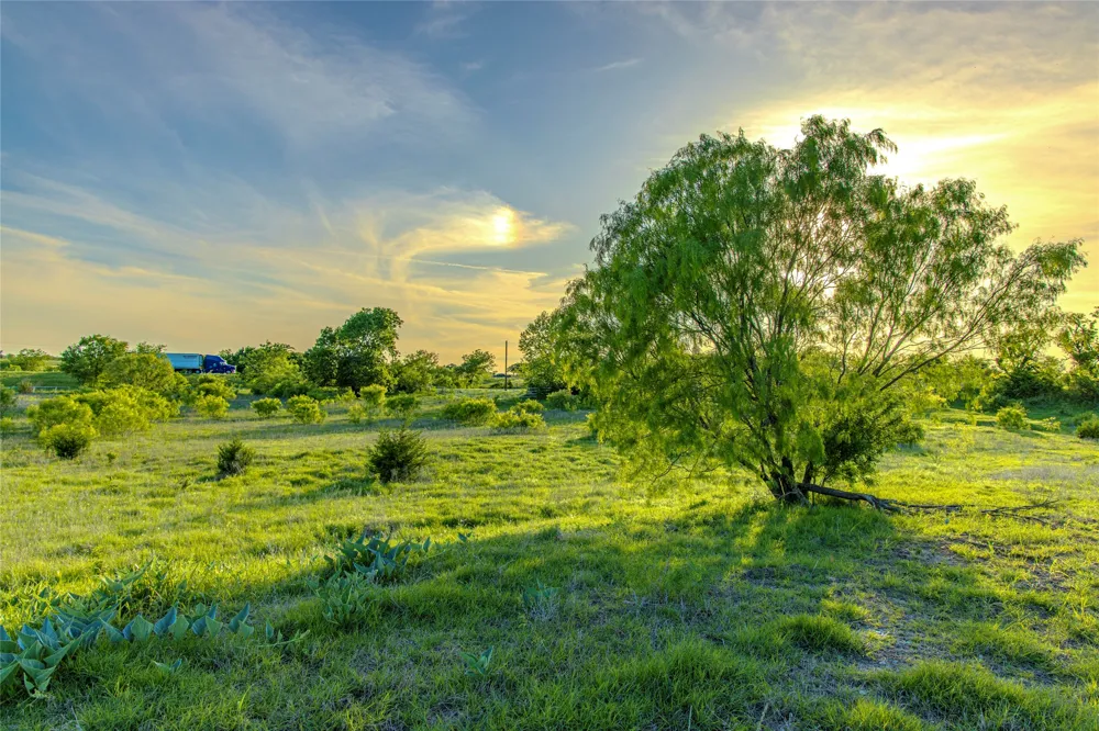 3790 HWY 287 Alvord, TX 76225