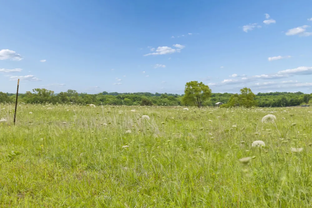 Fm 272 Leonard, TX 75452
