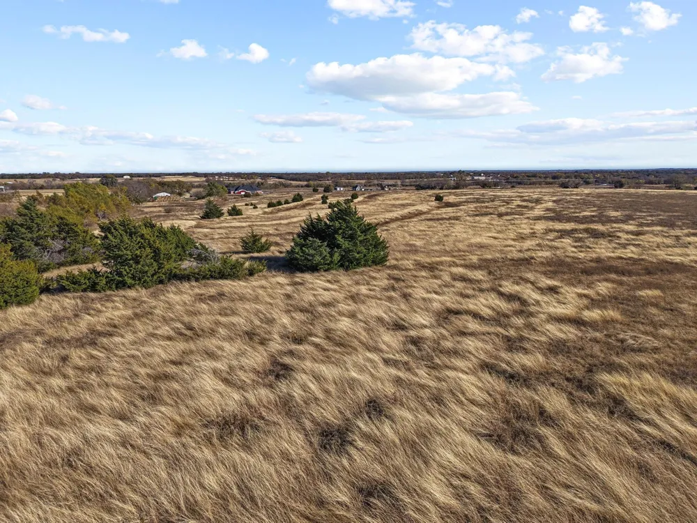 County Rd 632 Blue Ridge, TX 75424