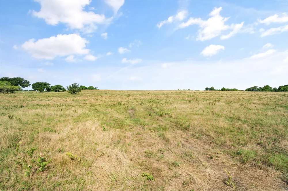 County Rd 632 Blue Ridge, TX 75424