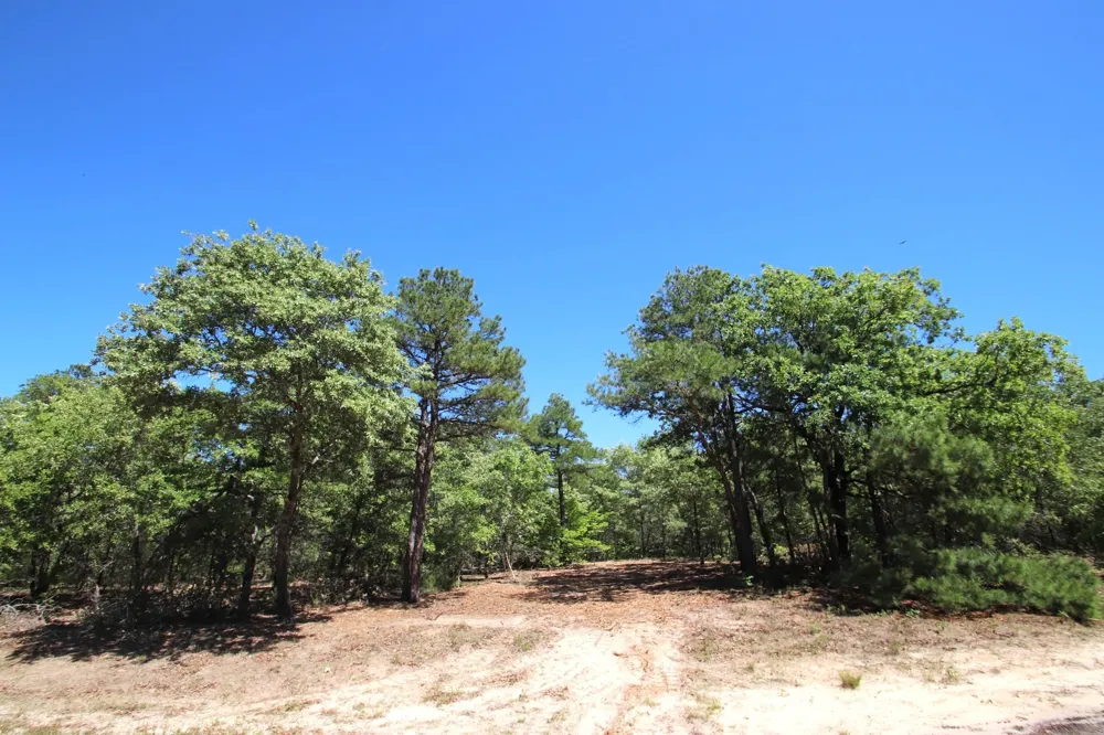 CR 4552 Winnsboro, TX 75494