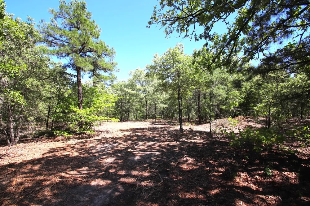CR 4552 Winnsboro, TX 75494