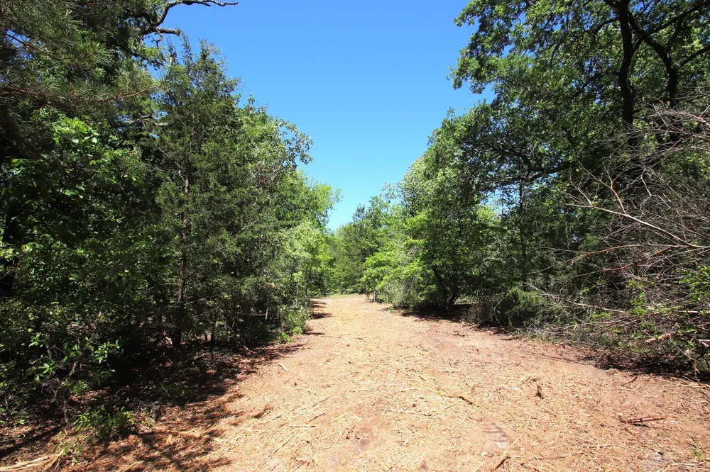CR 4552 Winnsboro, TX 75494