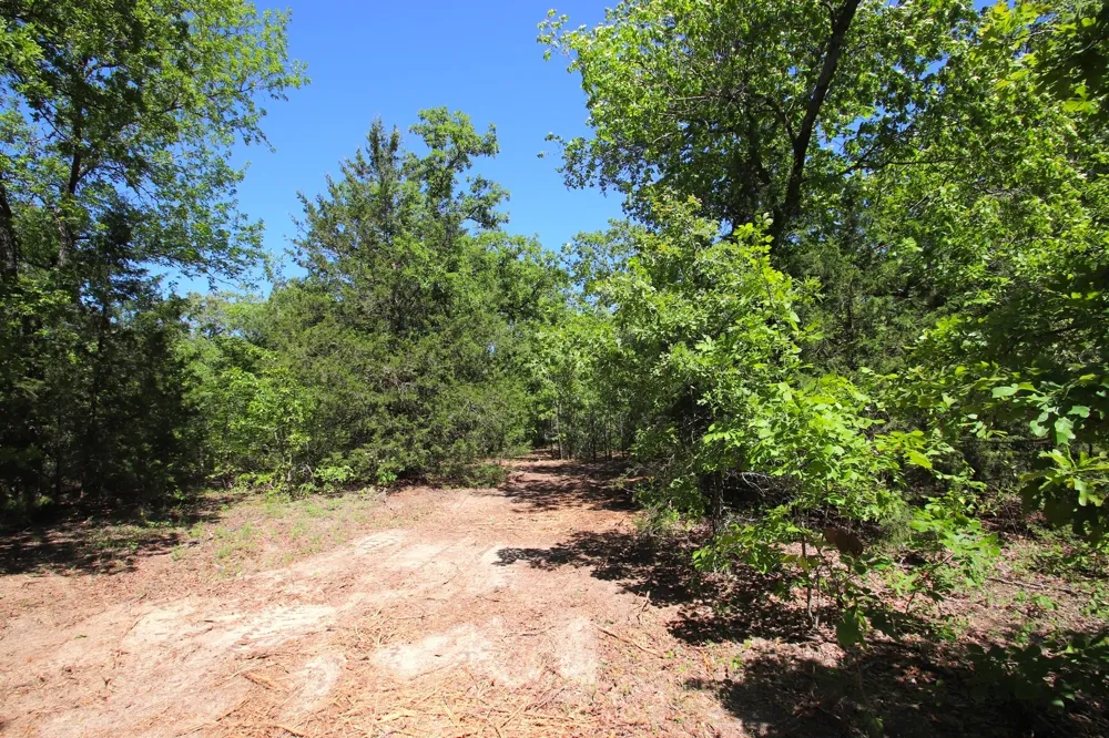 CR 4552 Winnsboro, TX 75494