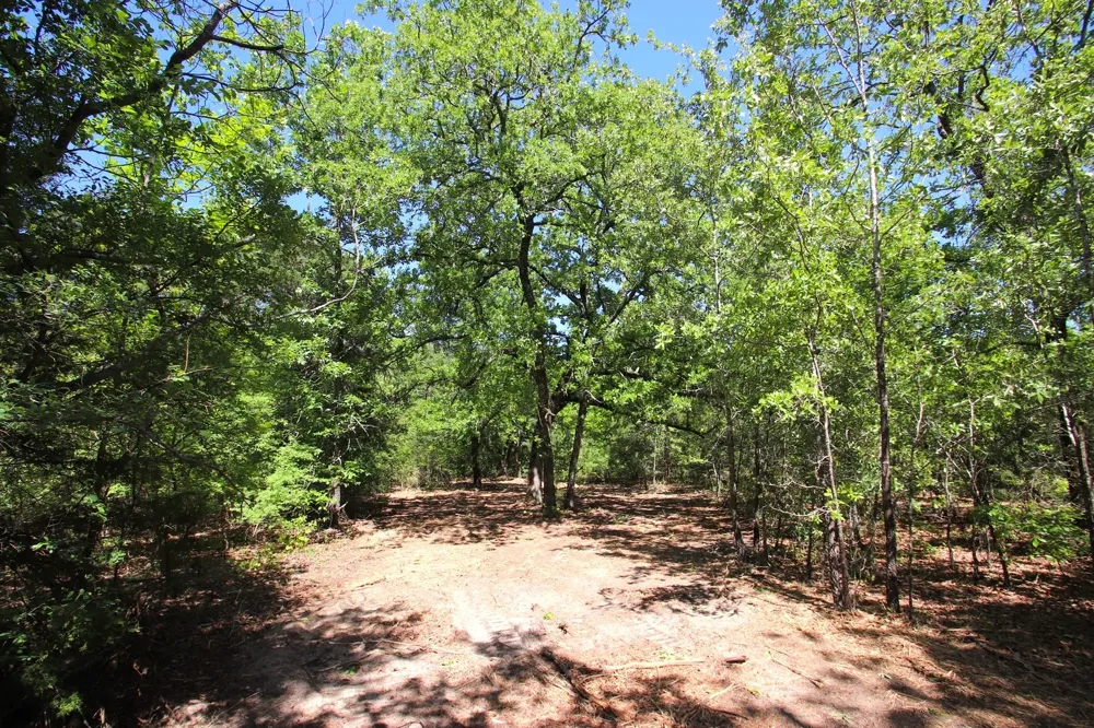 CR 4552 Winnsboro, TX 75494