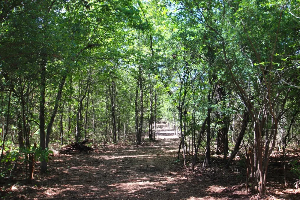 CR 4552 Winnsboro, TX 75494