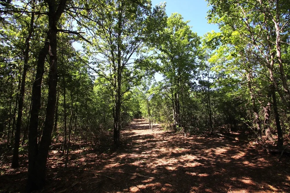 CR 4552 Winnsboro, TX 75494