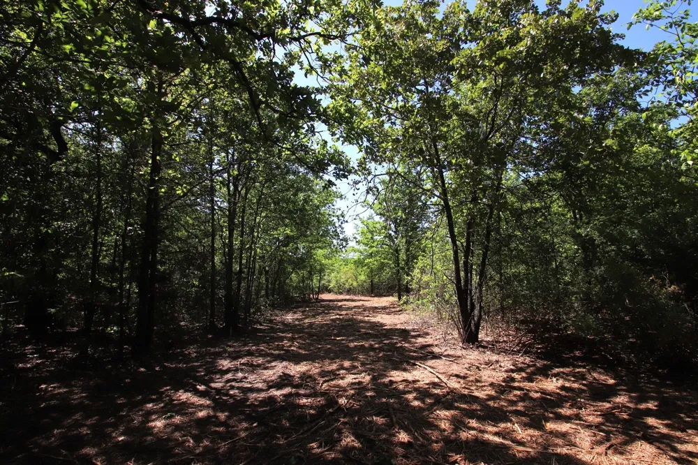 CR 4552 Winnsboro, TX 75494