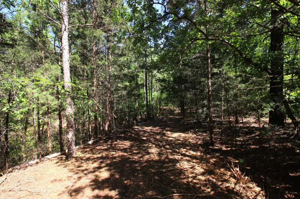 CR 4552 Winnsboro, TX 75494