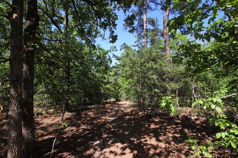 CR 4552 Winnsboro, TX 75494