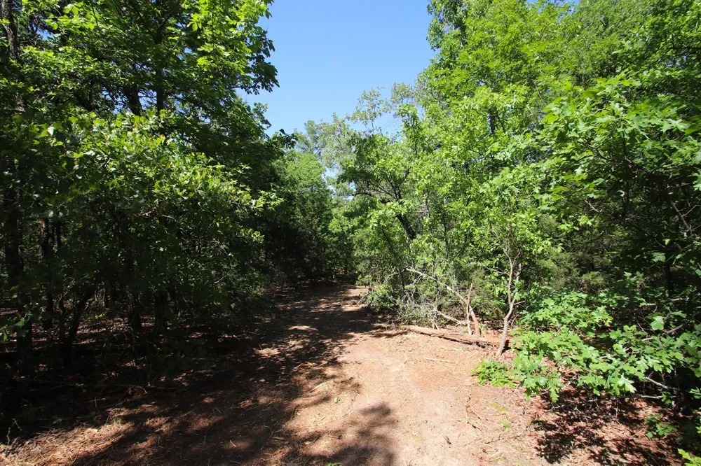 CR 4552 Winnsboro, TX 75494