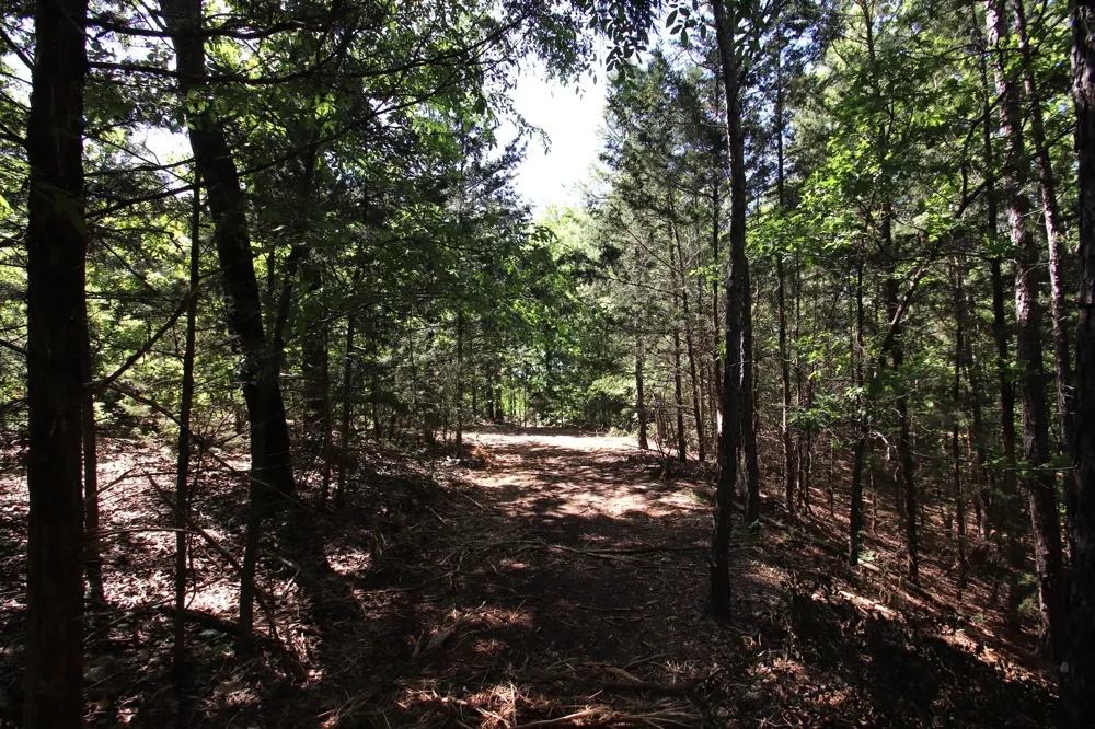 CR 4552 Winnsboro, TX 75494