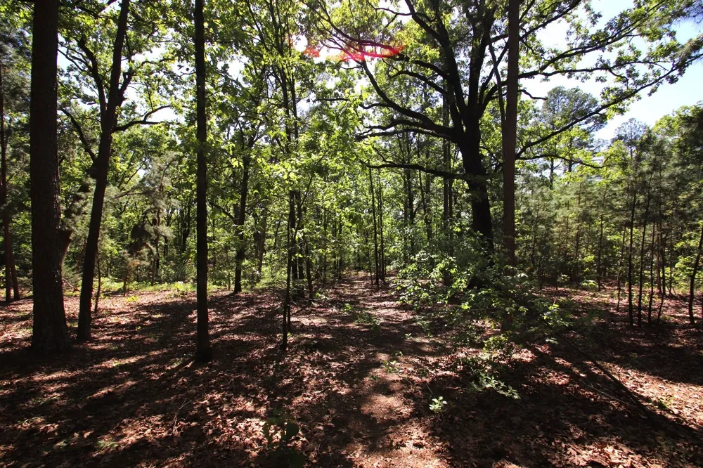 CR 4552 Winnsboro, TX 75494