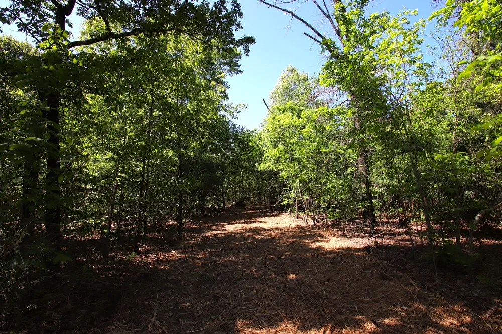 CR 4552 Winnsboro, TX 75494