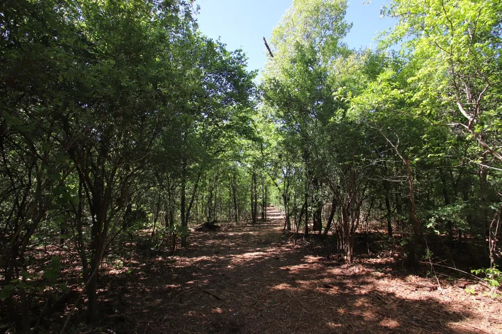 CR 4552 Winnsboro, TX 75494