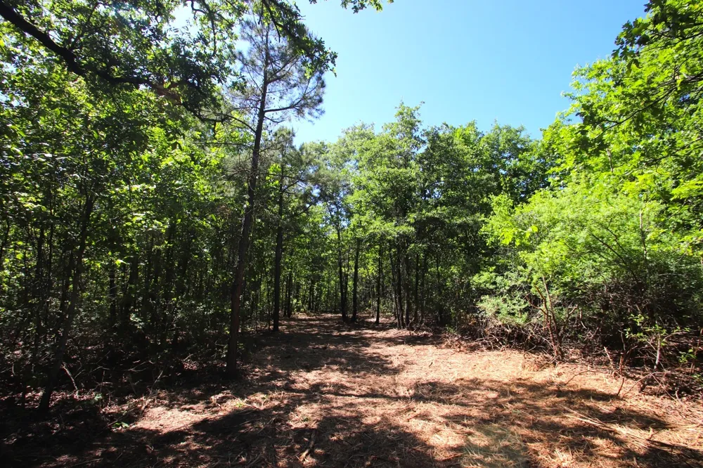 CR 4552 Winnsboro, TX 75494