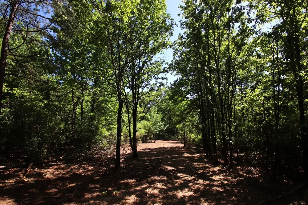 CR 4552 Winnsboro, TX 75494