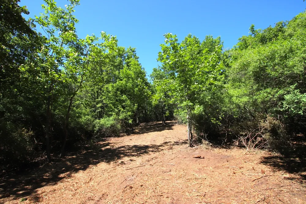 CR 4552 Winnsboro, TX 75494