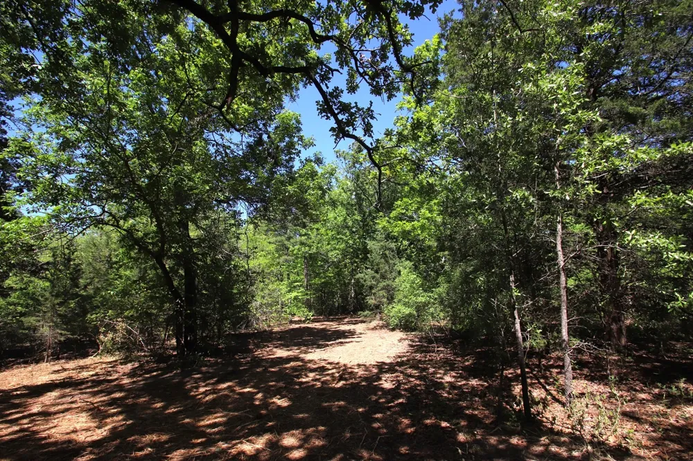 CR 4552 Winnsboro, TX 75494