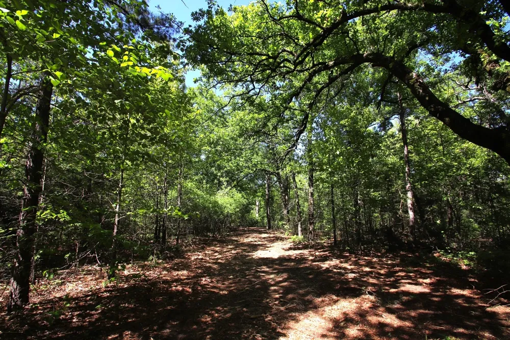 CR 4552 Winnsboro, TX 75494