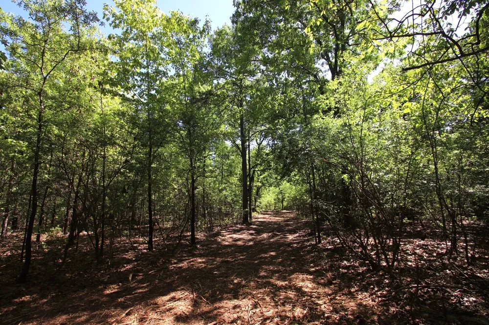 CR 4552 Winnsboro, TX 75494