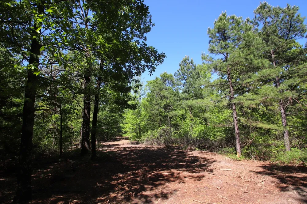 CR 4552 Winnsboro, TX 75494