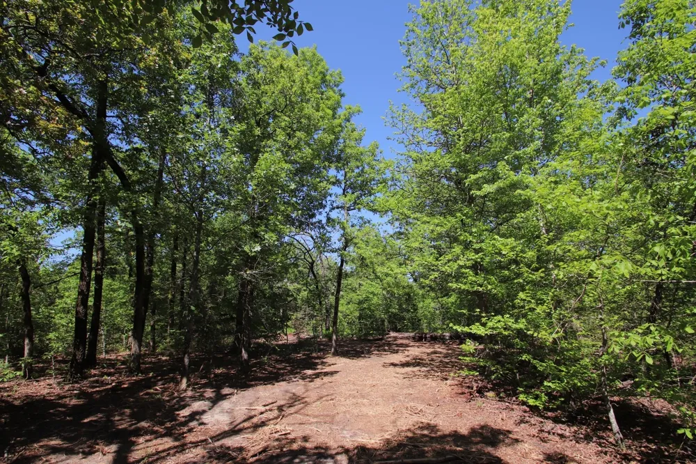 CR 4552 Winnsboro, TX 75494