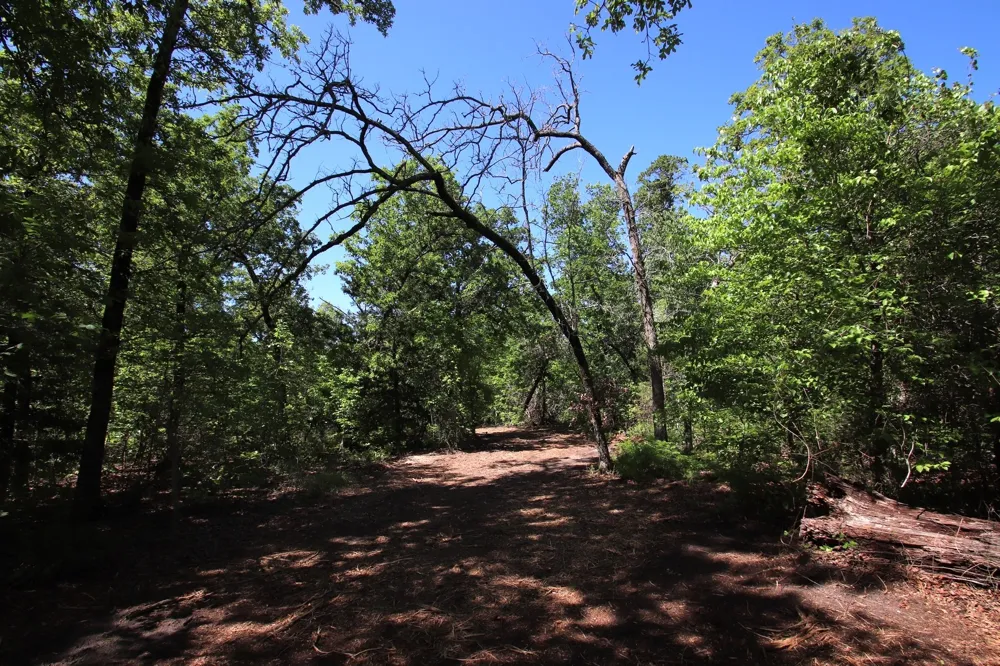 CR 4552 Winnsboro, TX 75494