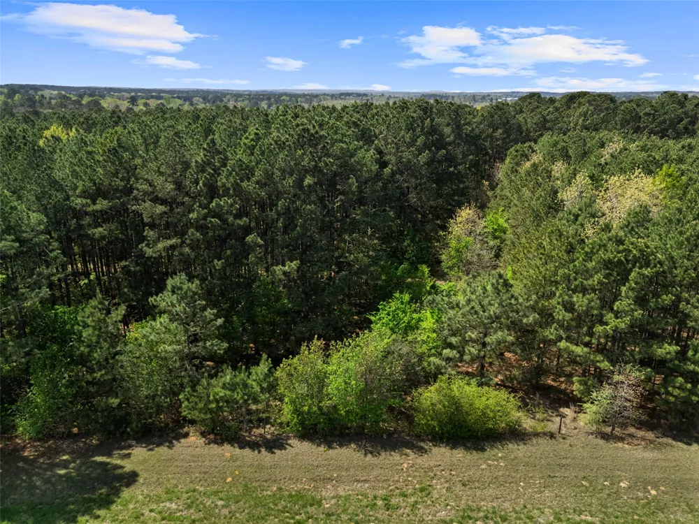 3327 FM 2751 Longview, TX 75605