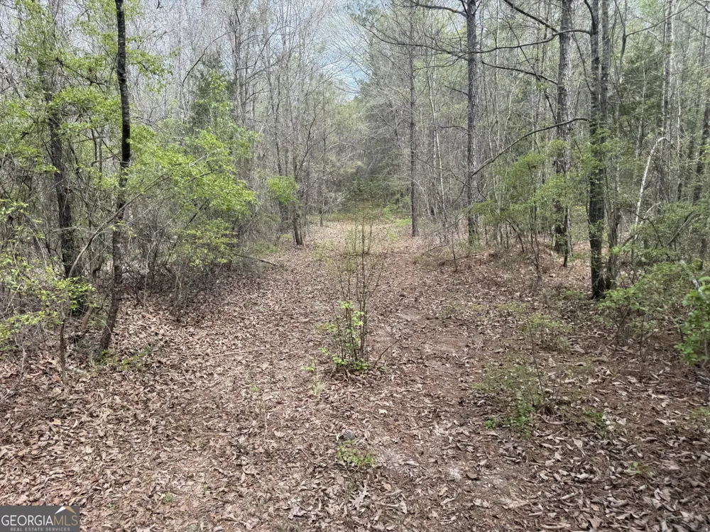 0 Union Church RD Fort Valley, GA 31030