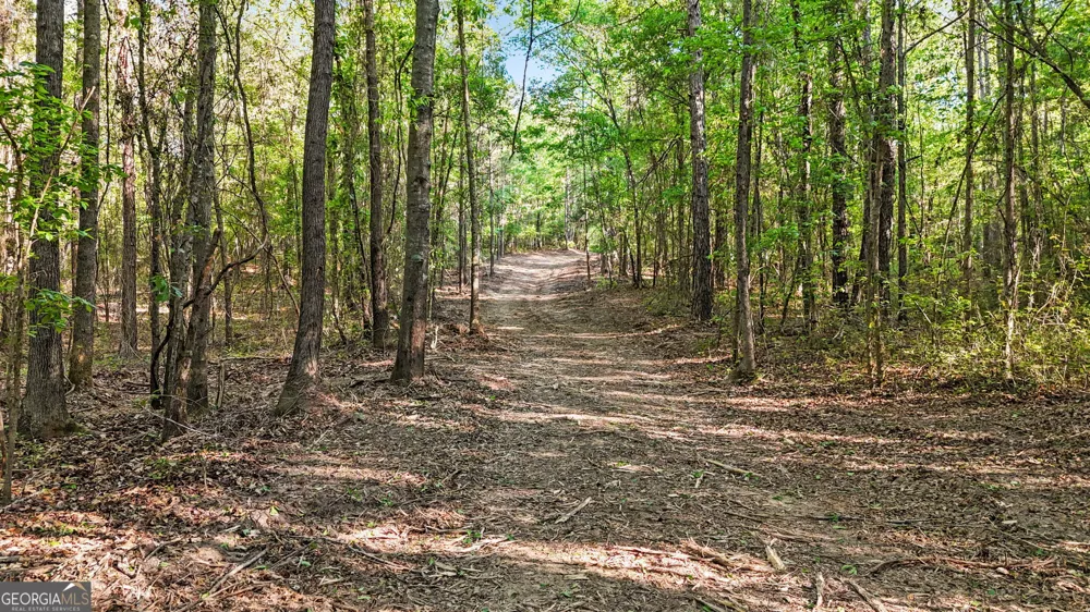 0 Union Church RD Fort Valley, GA 31030