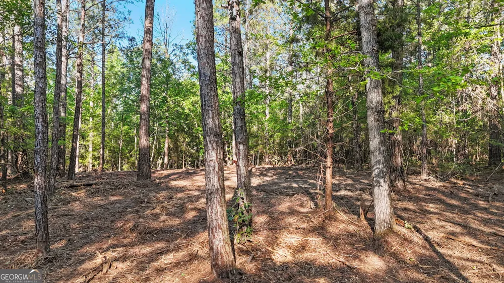 0 Union Church RD Fort Valley, GA 31030