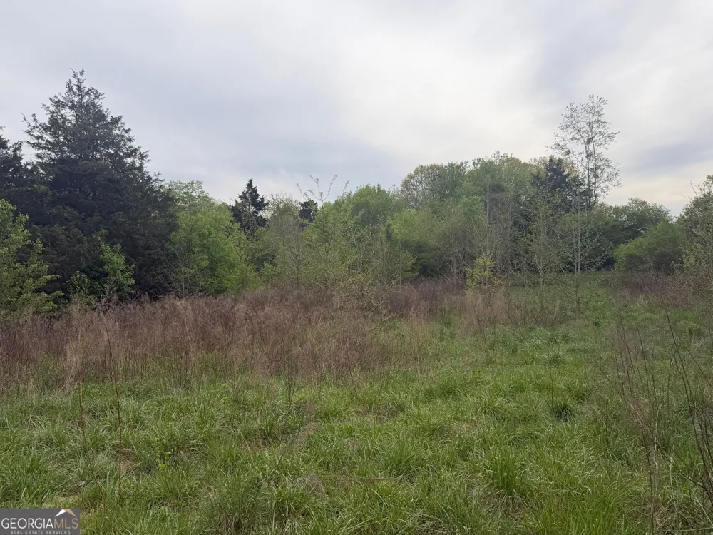 0 N County Line RD Alto, GA 30510