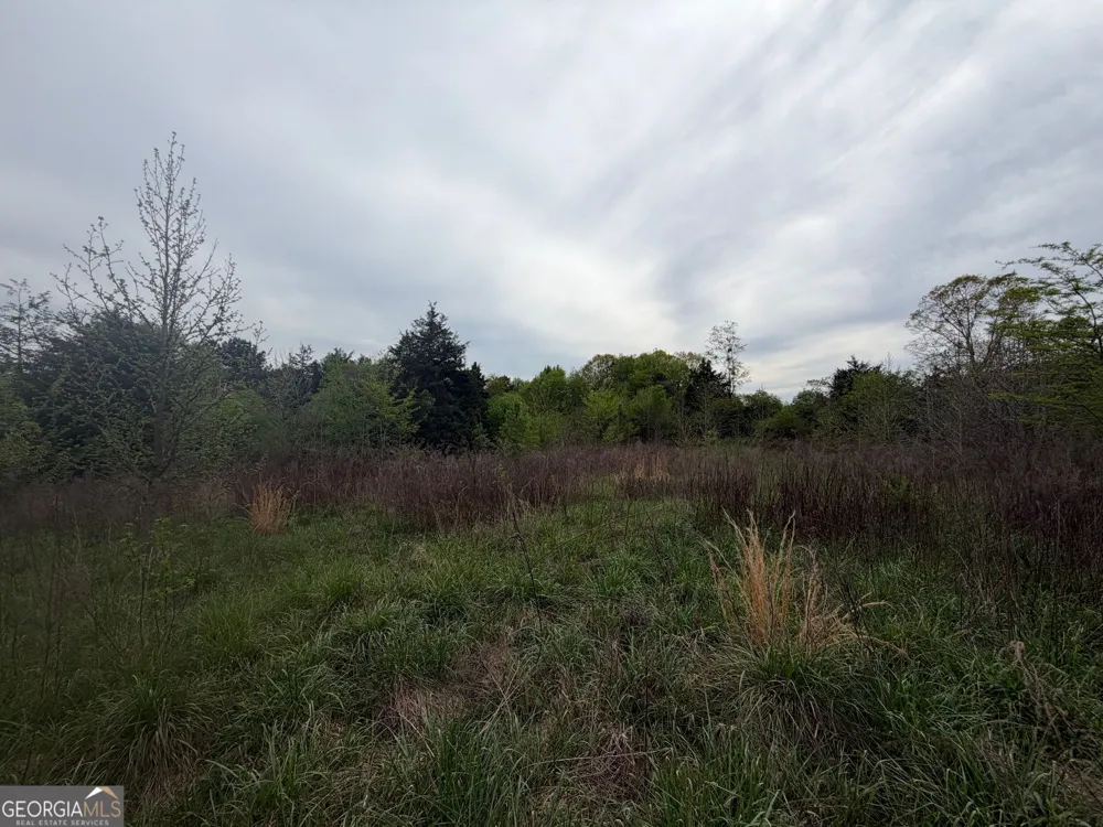 0 N County Line RD Alto, GA 30510
