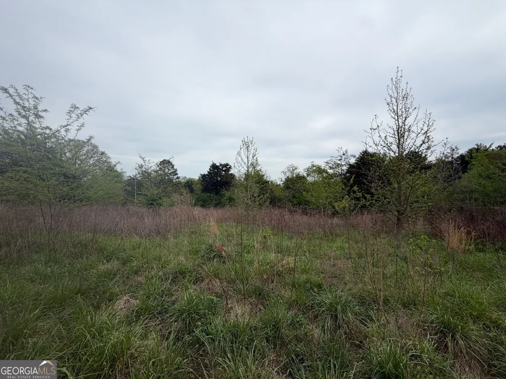 0 N County Line RD Alto, GA 30510