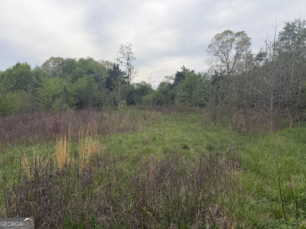 0 N County Line RD Alto, GA 30510