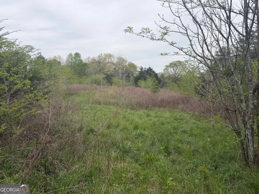 0 N County Line RD Alto, GA 30510
