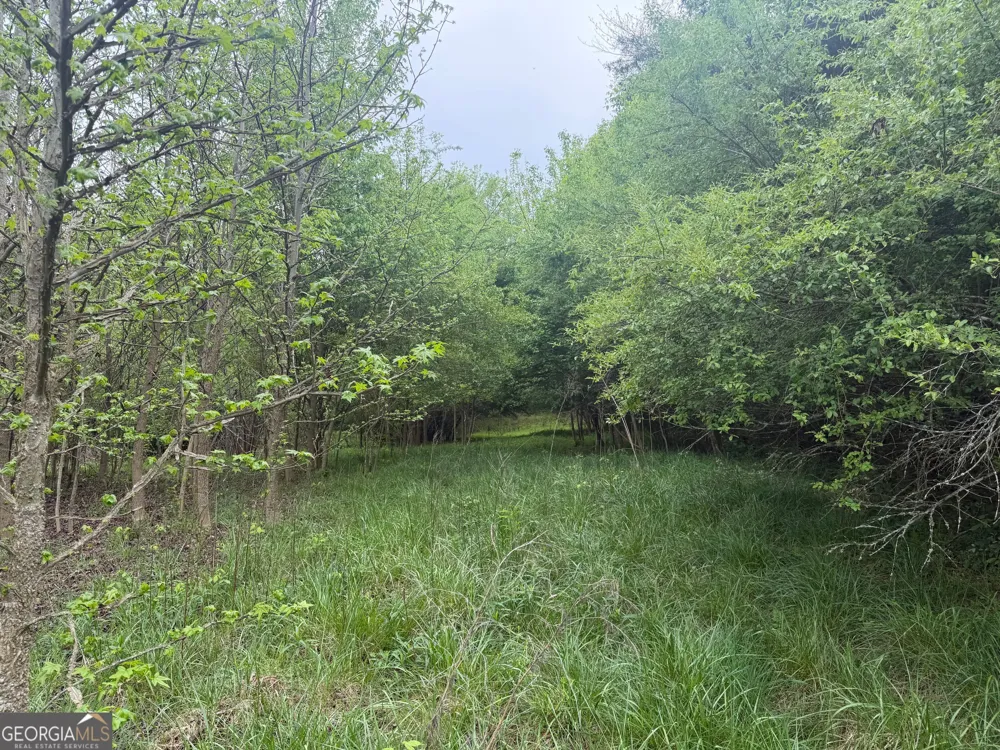 0 N County Line RD Alto, GA 30510