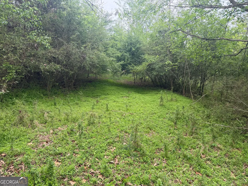0 N County Line RD Alto, GA 30510