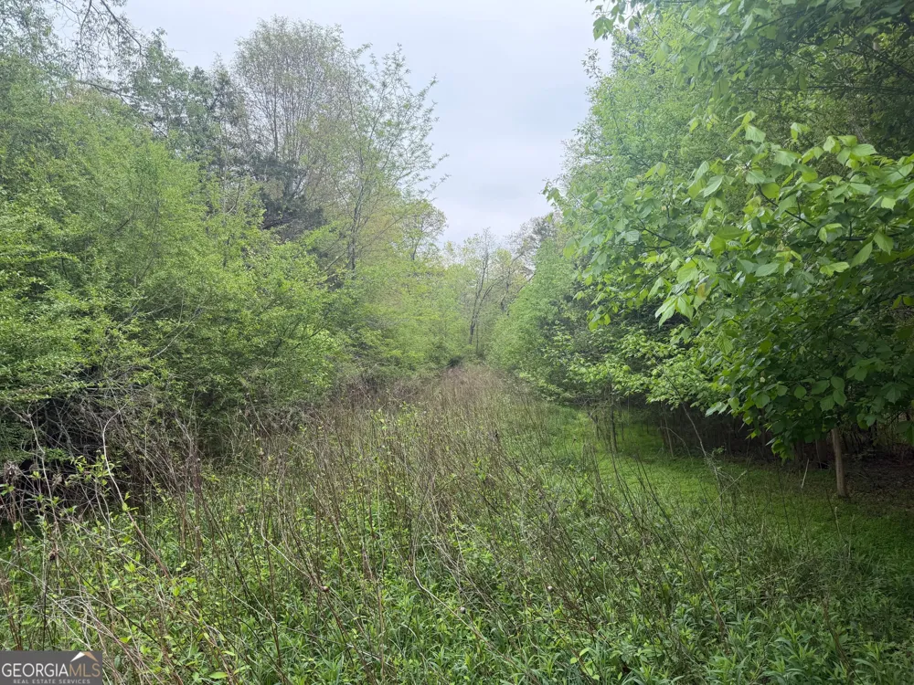 0 N County Line RD Alto, GA 30510