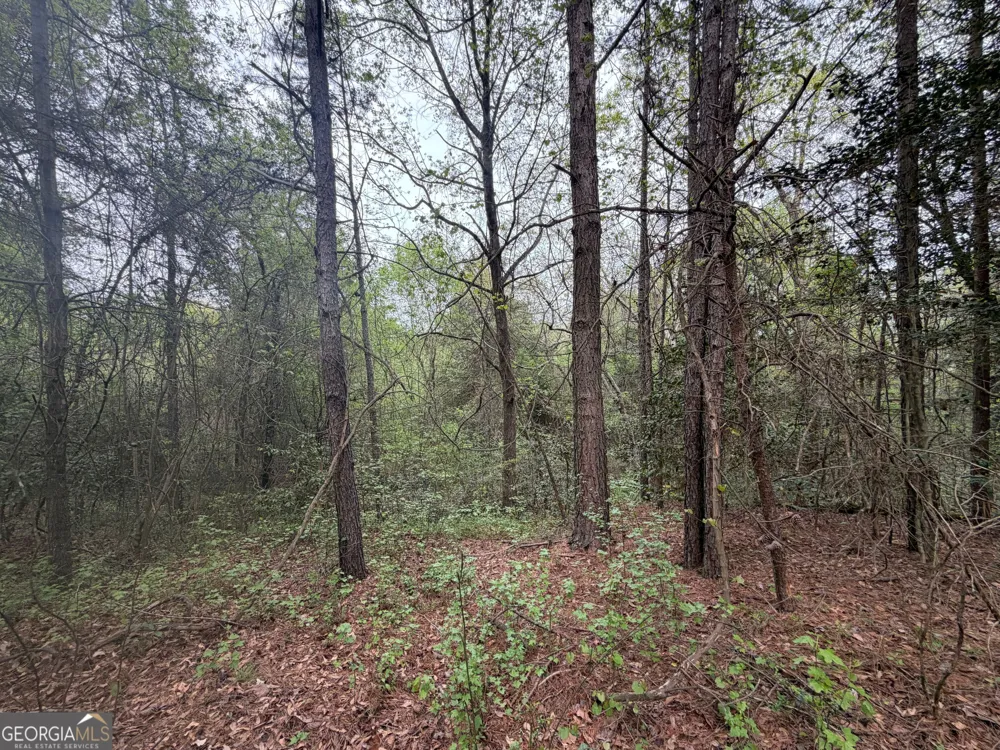 0 N County Line RD Alto, GA 30510