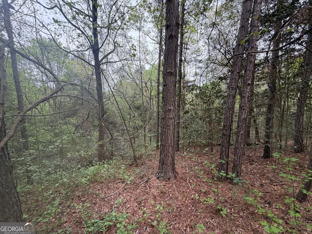 0 N County Line RD Alto, GA 30510