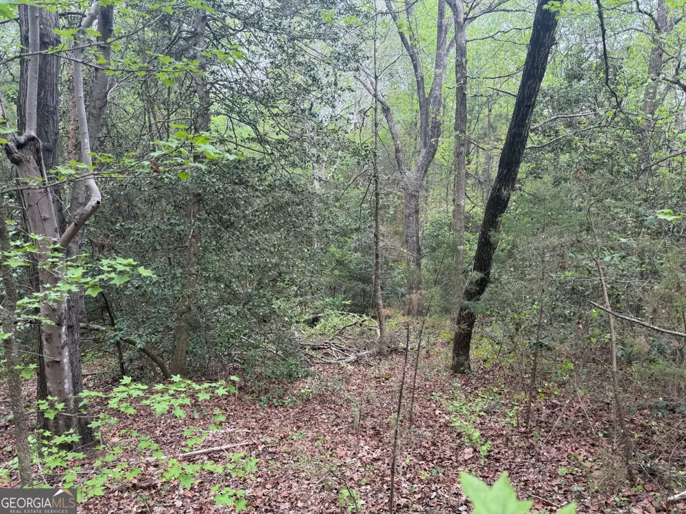 0 N County Line RD Alto, GA 30510