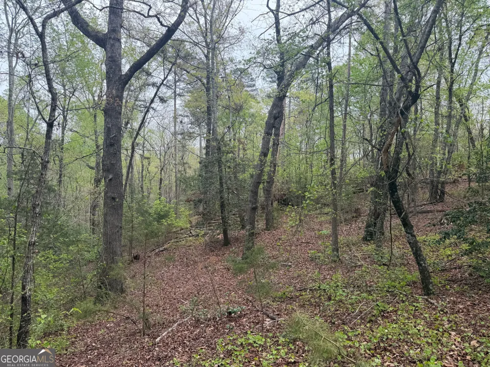 0 N County Line RD Alto, GA 30510