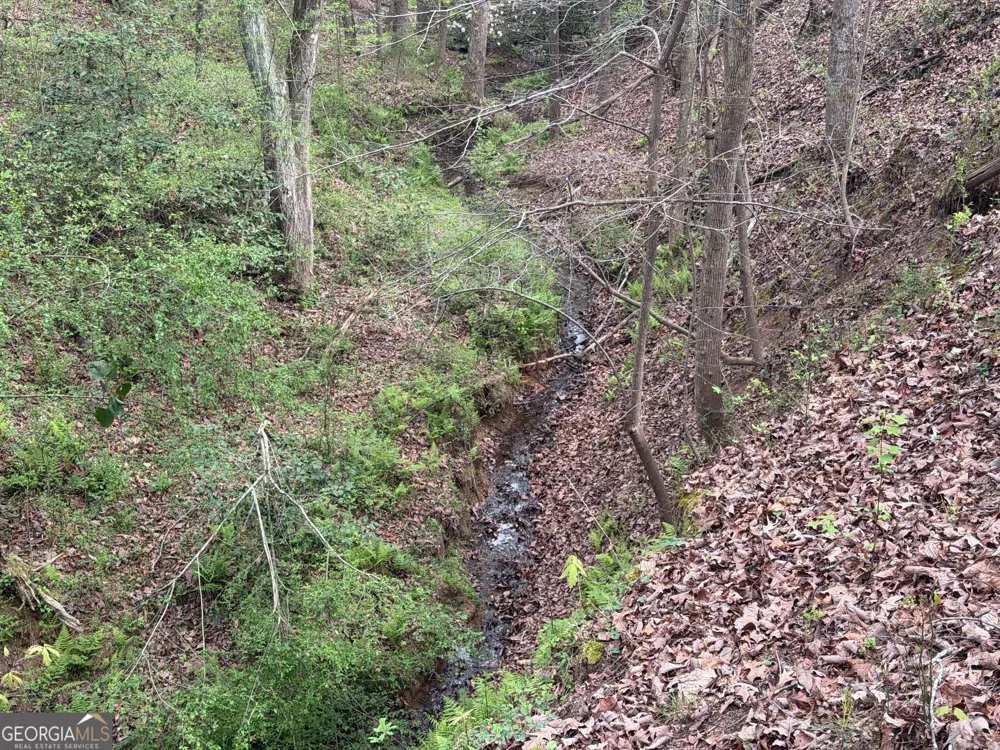 0 N County Line RD Alto, GA 30510