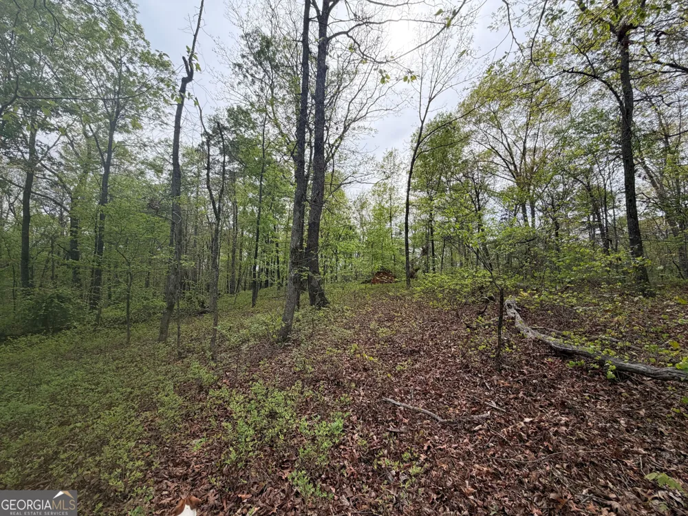 0 N County Line RD Alto, GA 30510