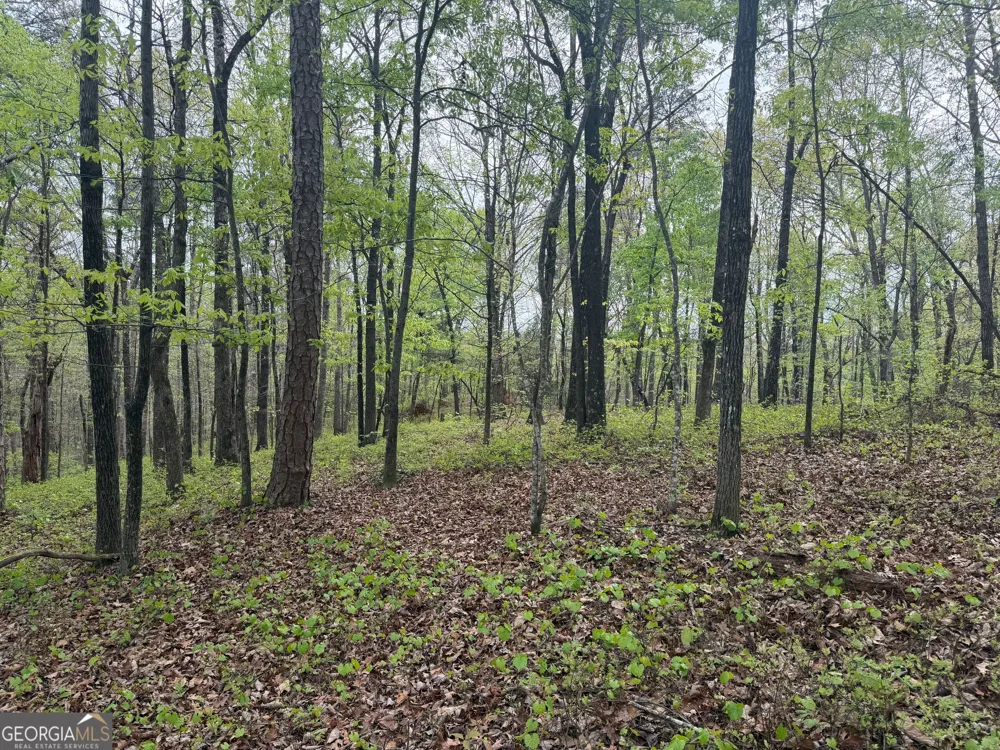 0 N County Line RD Alto, GA 30510