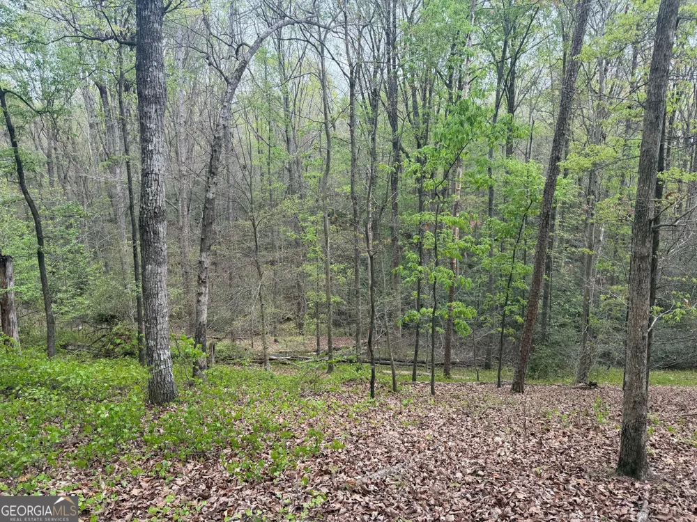 0 N County Line RD Alto, GA 30510